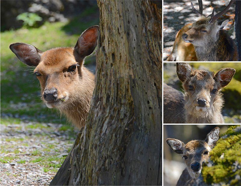 Fotografie Alfons Weber
