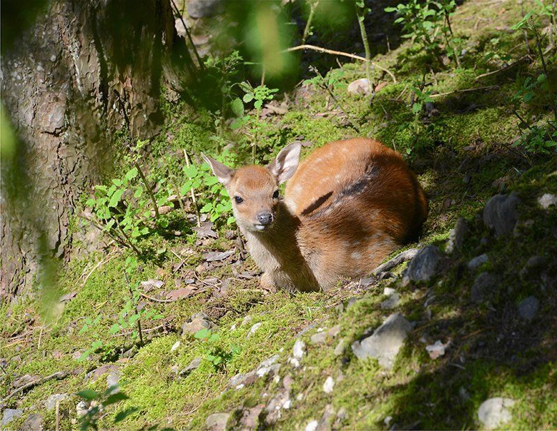 Fotografie Alfons Weber
