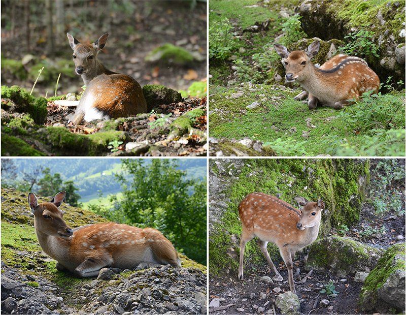 Fotografie Alfons Weber
