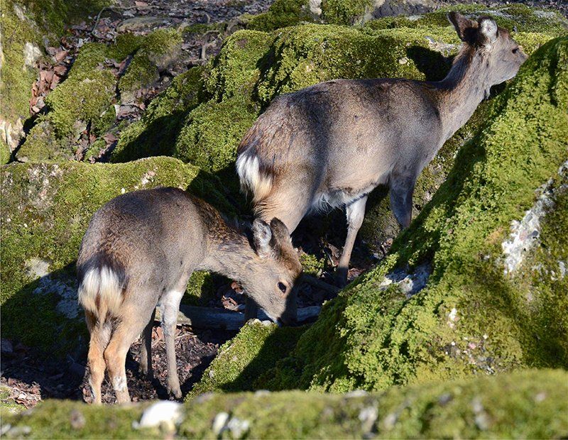 Fotografie Alfons Weber

