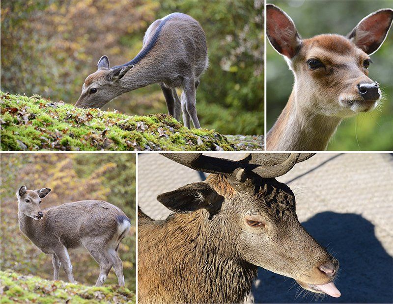 Fotografie Alfons Weber
