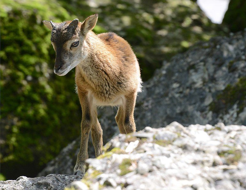 Fotografie Alfons Weber
