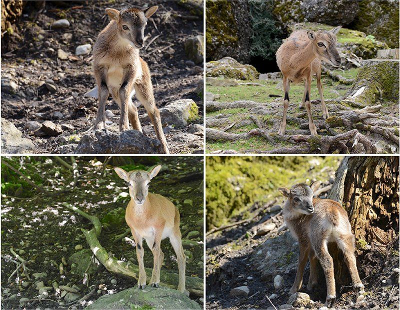 Fotografie Alfons Weber
