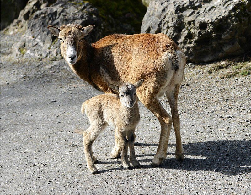 Fotografie Alfons Weber
