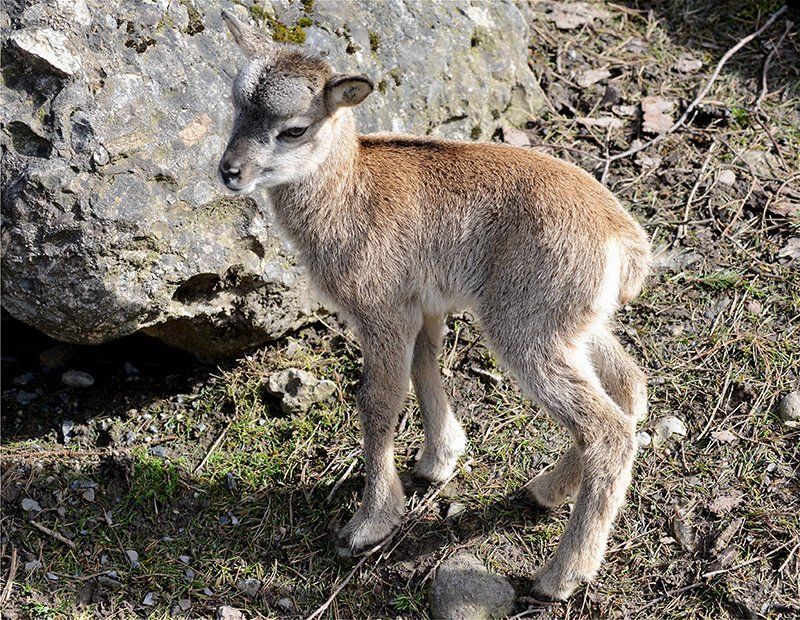 Fotografie Alfons Weber
