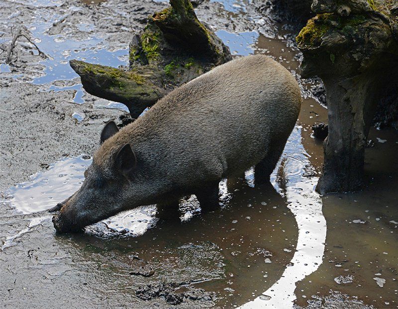 Fotografie Alfons Weber

