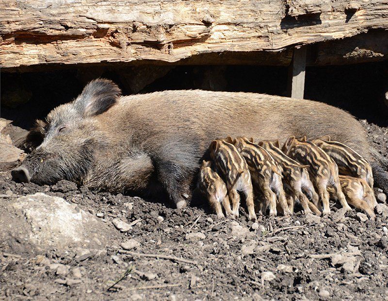Fotografie Alfons Weber
