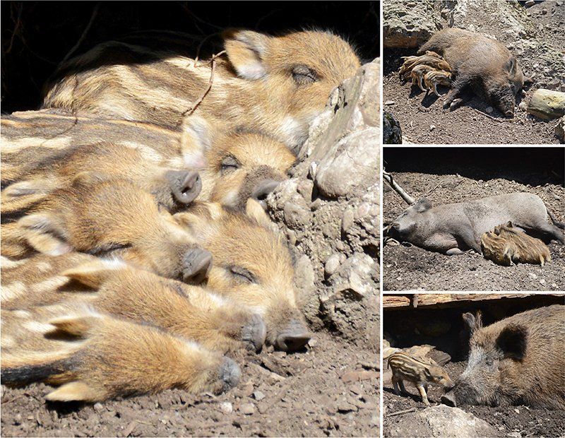 Fotografie Alfons Weber
