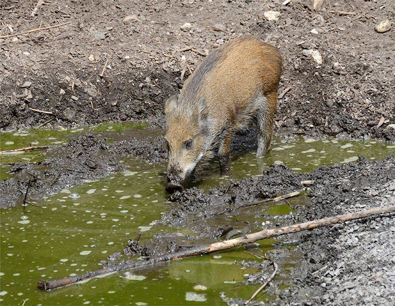 Fotografie Alfons Weber
