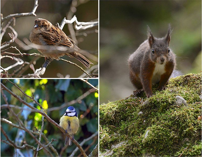 Fotografie Alfons Weber
