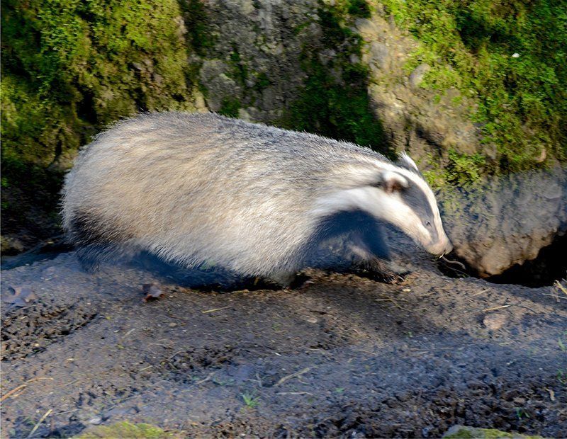 Fotografie Alfons Weber
