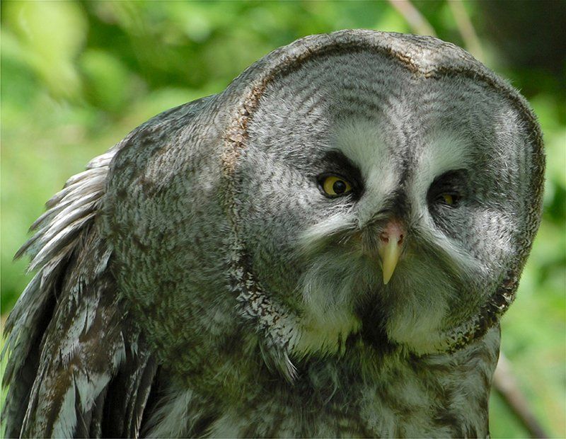 Fotografie Alfons Weber
