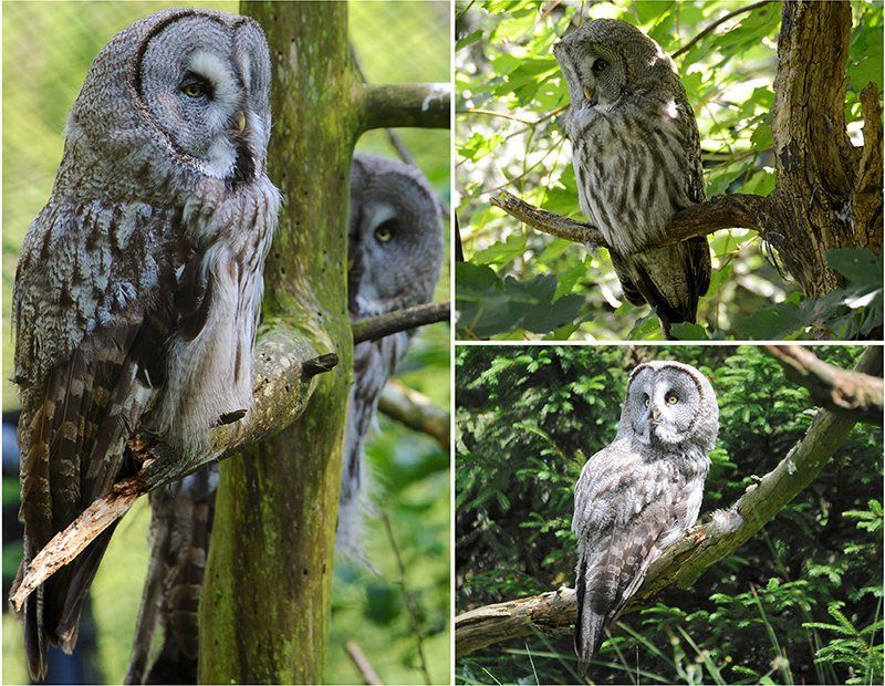 Fotografie Alfons Weber
