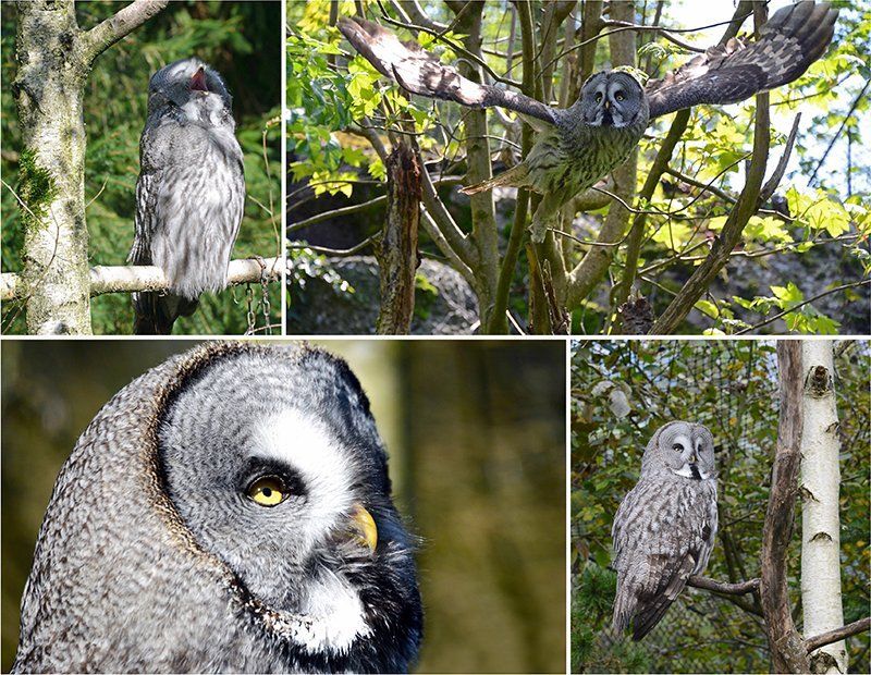 Fotografie Alfons Weber
