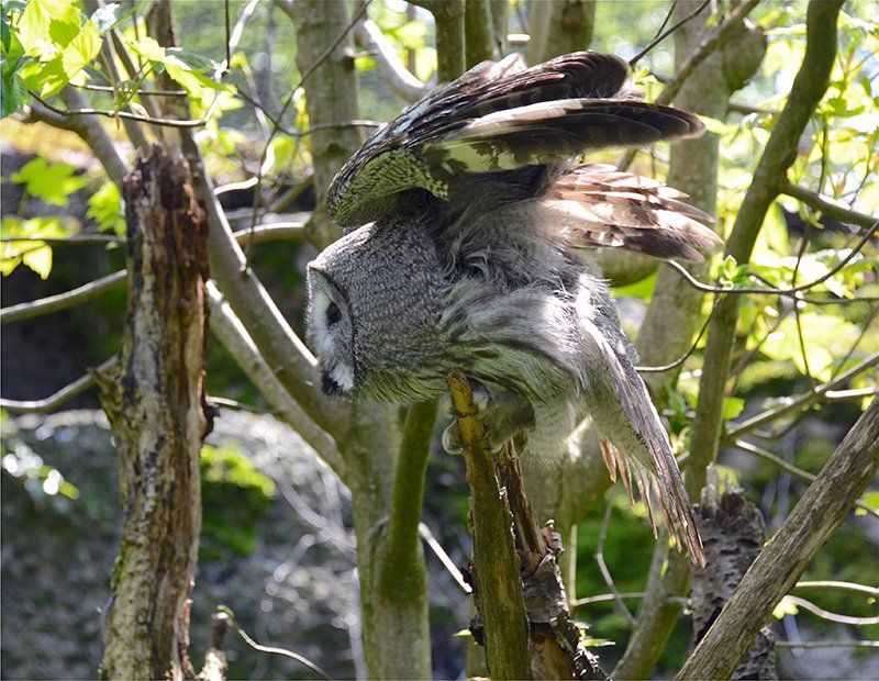 Fotografie Alfons Weber
