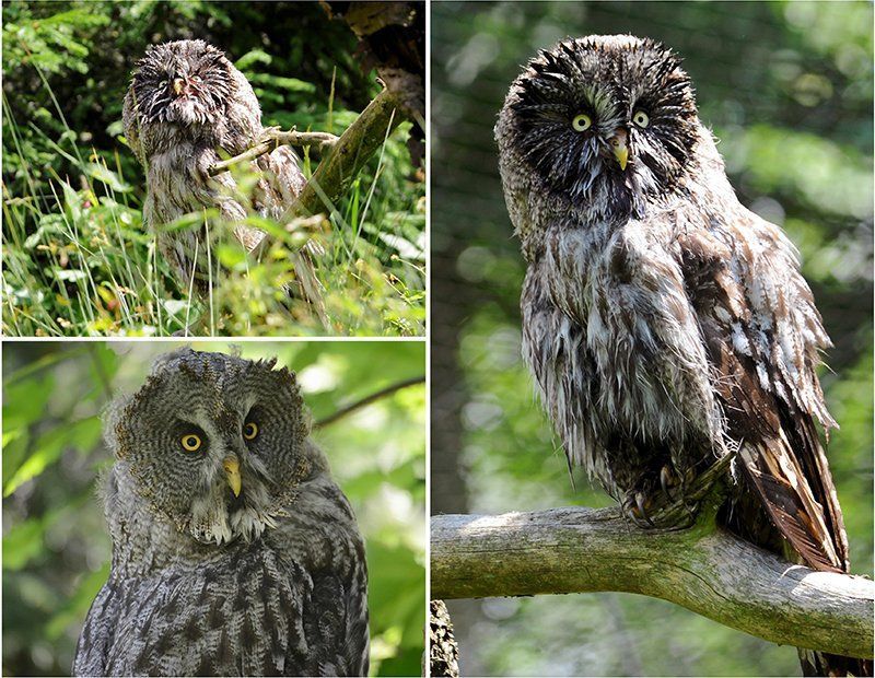 Fotografie Alfons Weber
