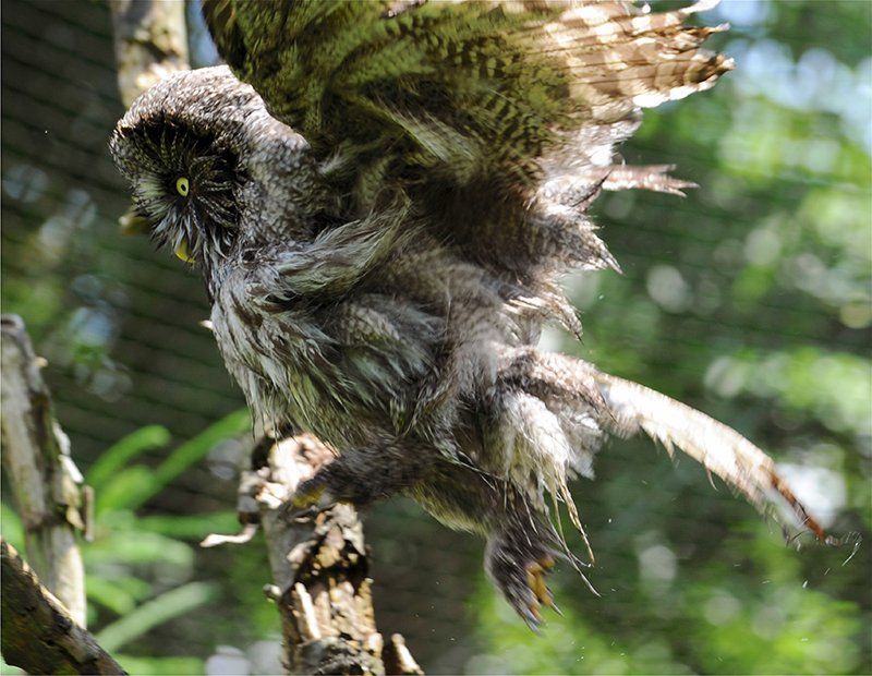 Fotografie Alfons Weber
