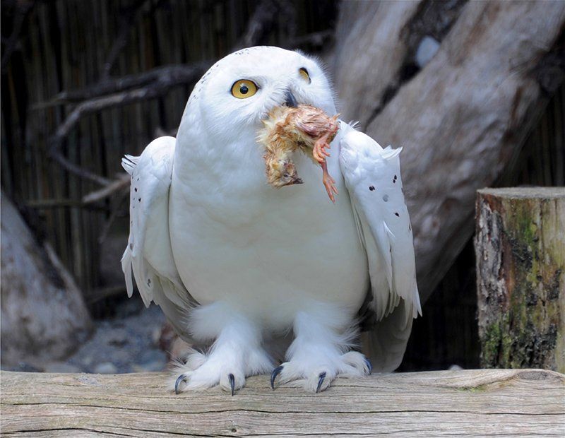 Fotografie Alfons Weber
