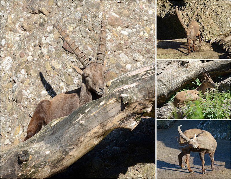 Fotografie Alfons Weber
