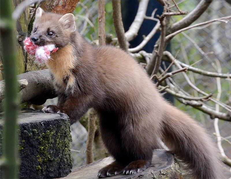Fotografie Alfons Weber
