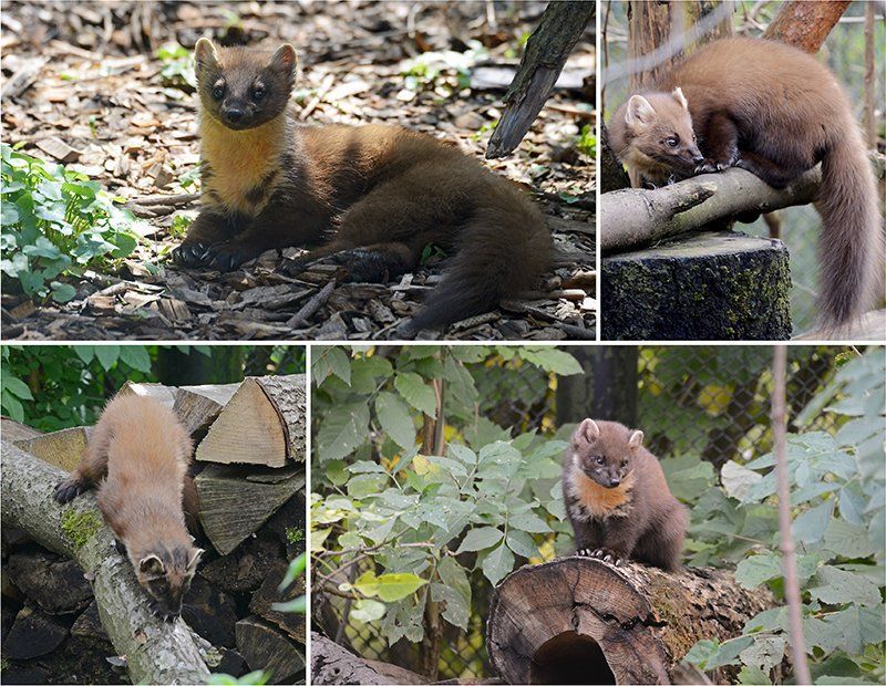 Fotografie Alfons Weber
