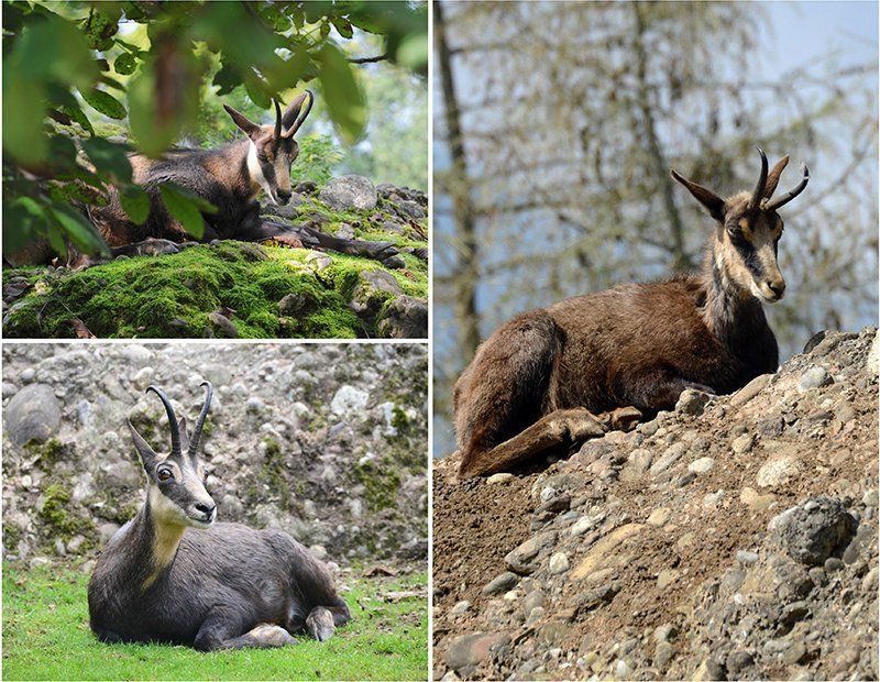 Fotografie Alfons Weber
