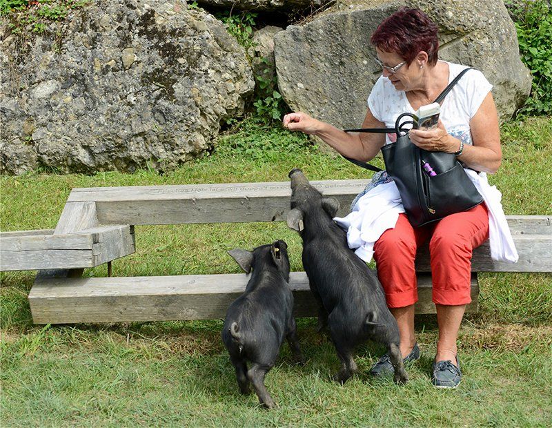 Fotografie Alfons Weber
