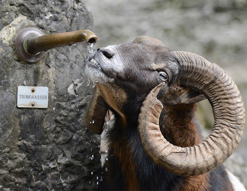 Fotografie Alfons Weber
