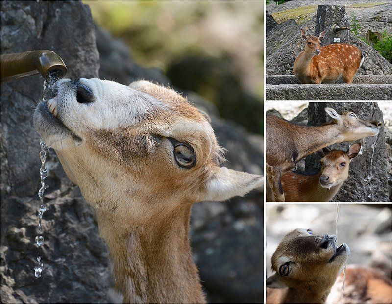 Fotografie Alfons Weber
