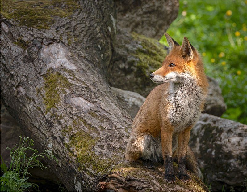 Fotografie Alfons Weber

