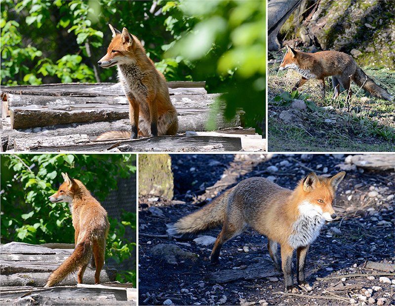 Fotografie Alfons Weber
