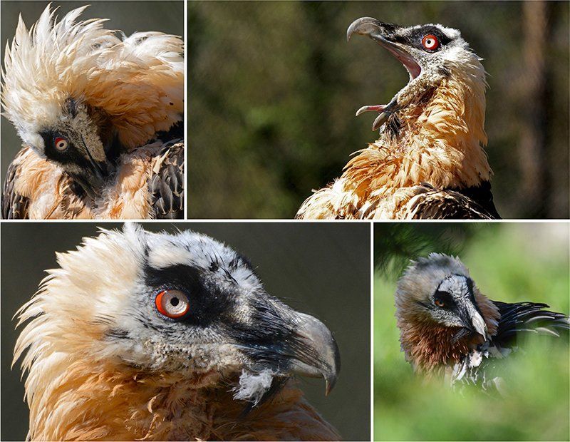 Fotografie Alfons Weber
