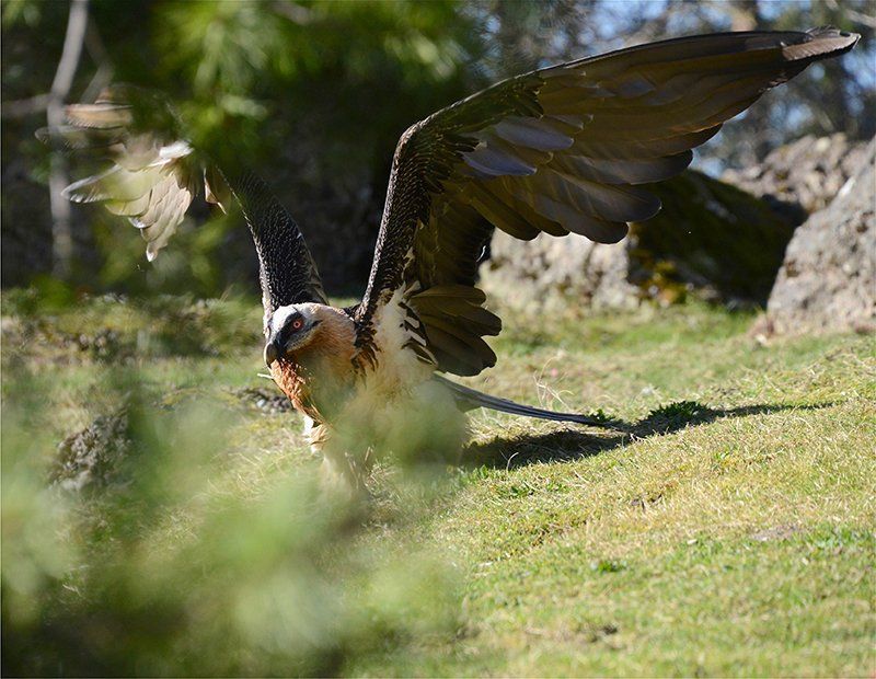 Fotografie Alfons Weber
