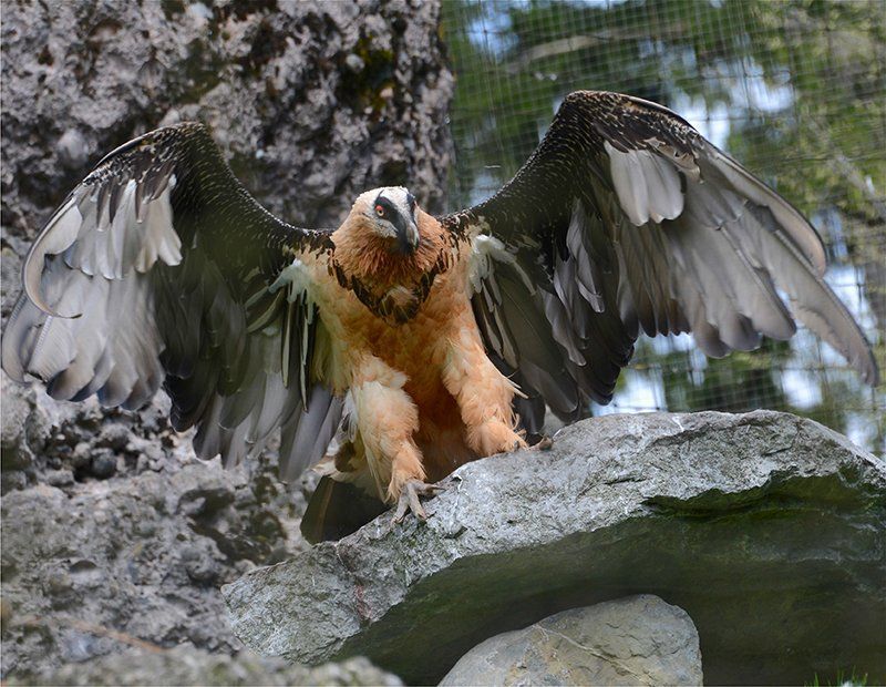 Fotografie Alfons Weber
