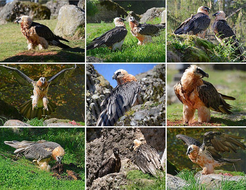 Fotografie Alfons Weber
