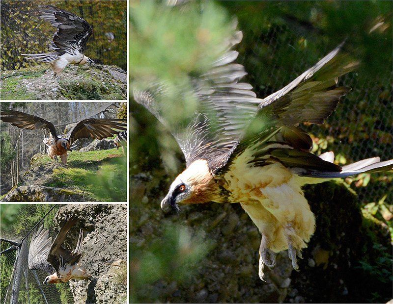 Fotografie Alfons Weber
