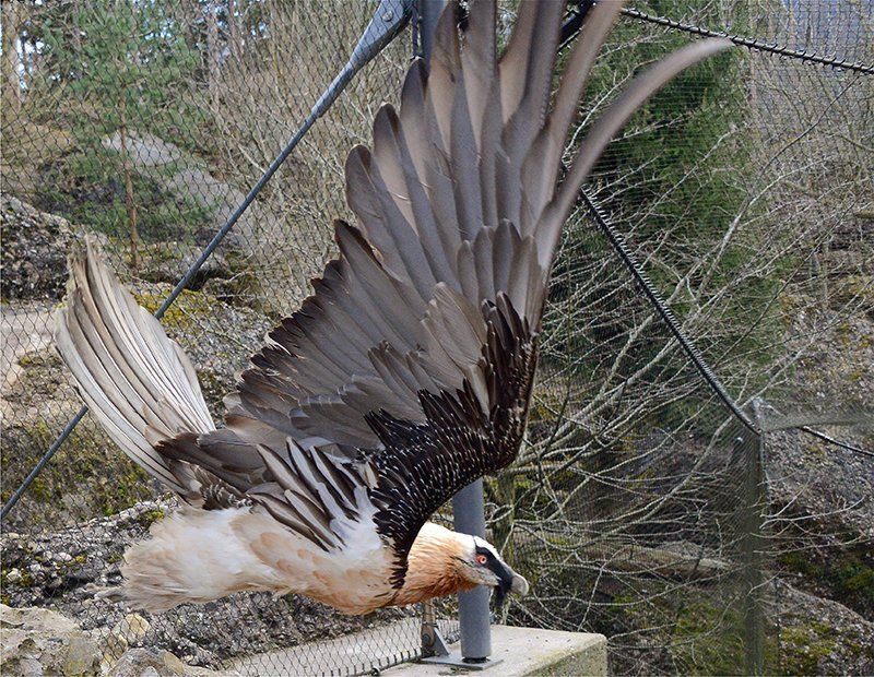 Fotografie Alfons Weber
