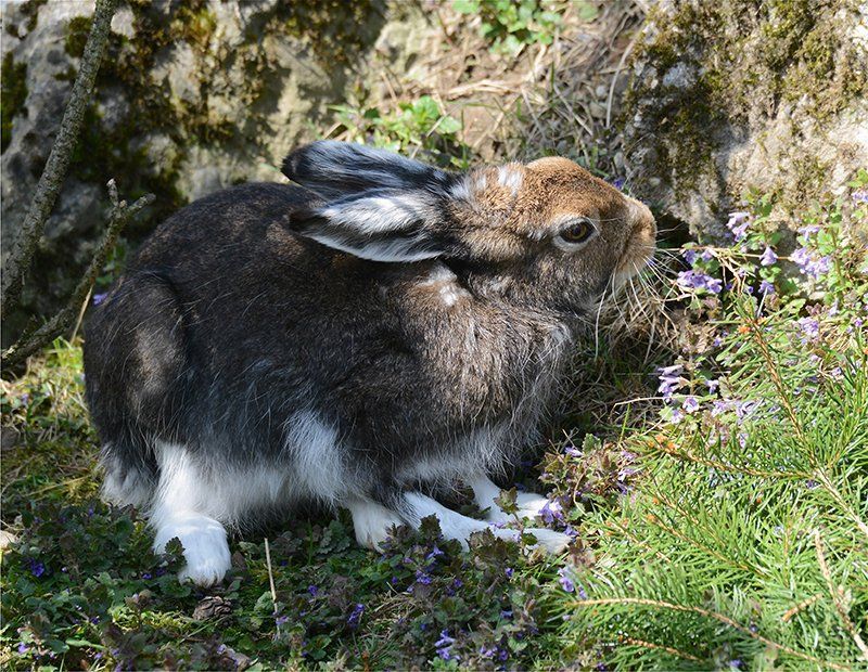 Fotografie Alfons Weber
