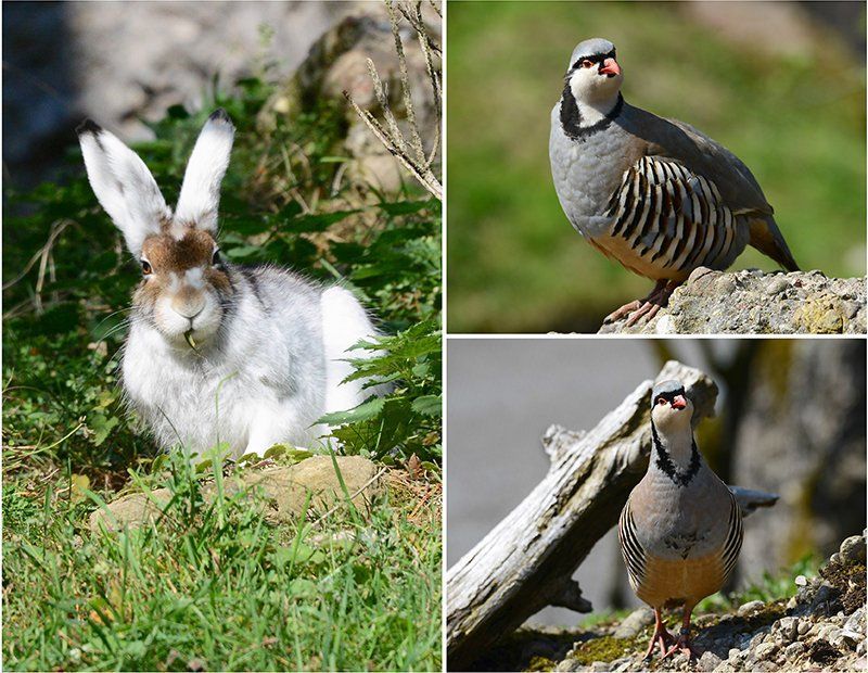 Fotografie Alfons Weber
