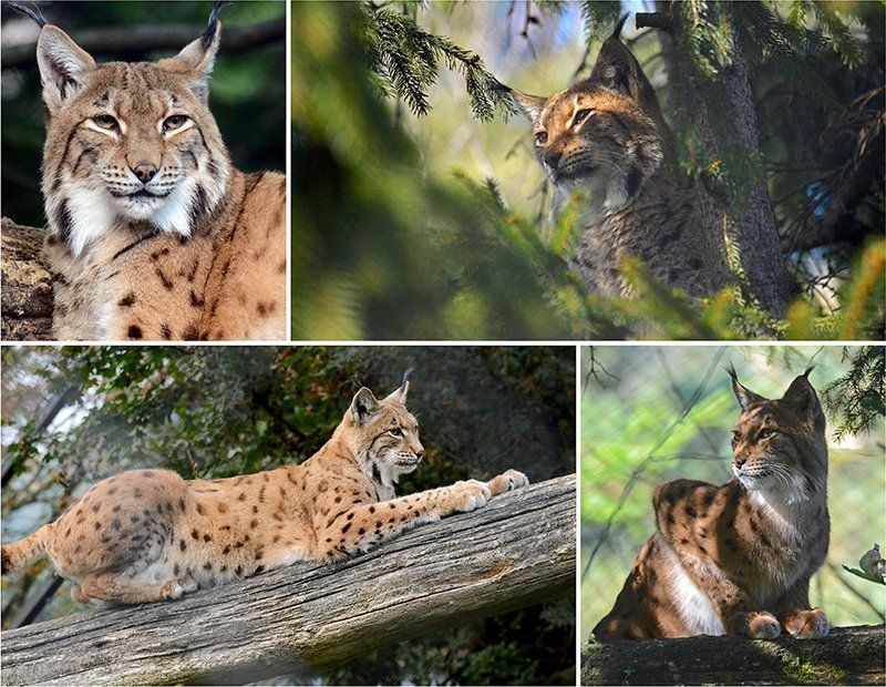 Fotografie Alfons Weber
