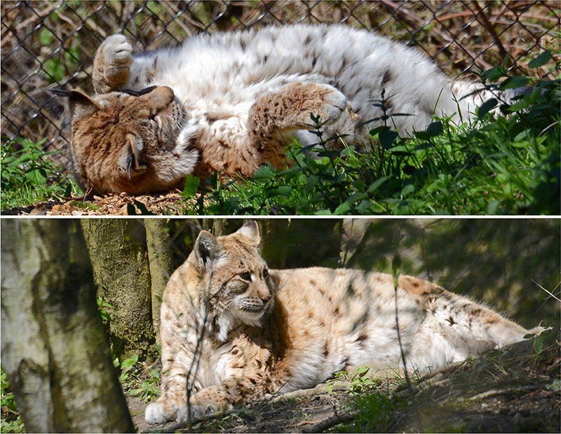Fotografie Alfons Weber

