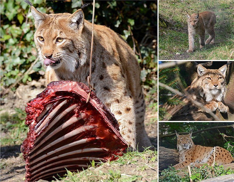 Fotografie Alfons Weber
