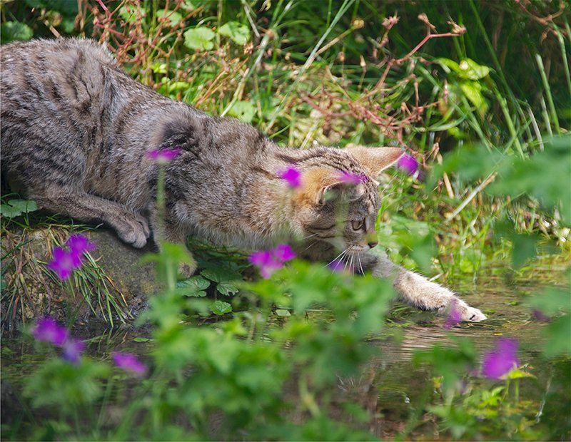 Fotografie Alfons Weber
