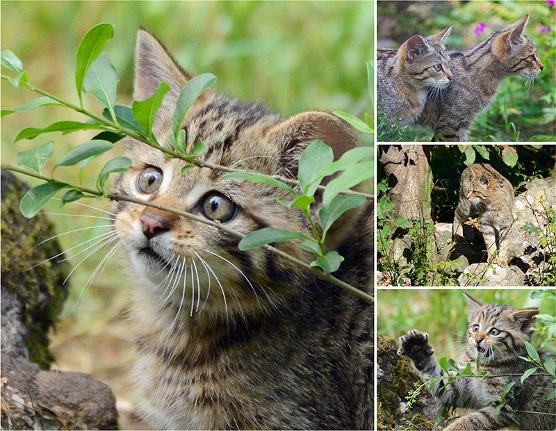 Fotografie Alfons Weber
