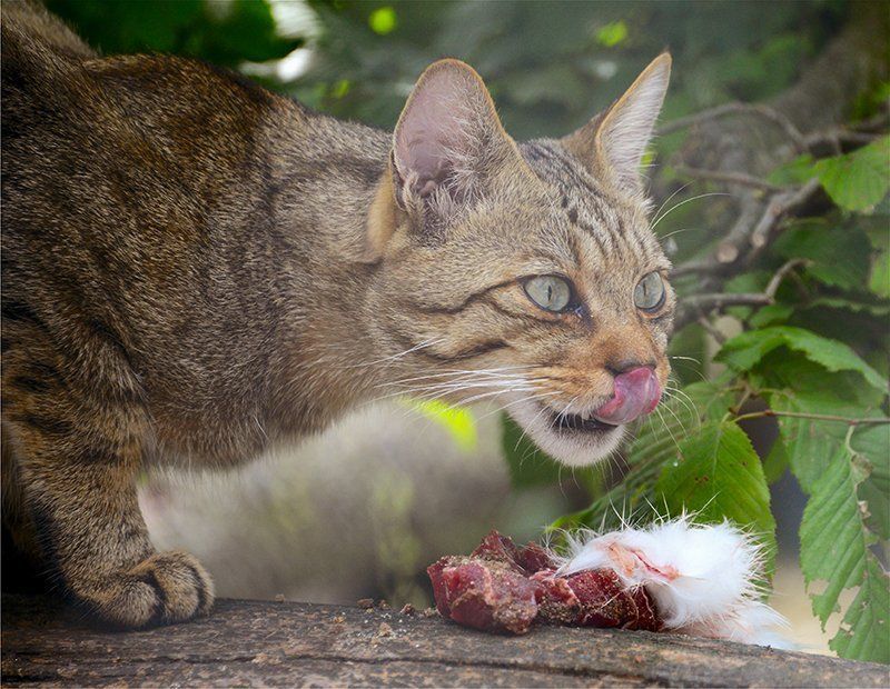 Fotografie Alfons Weber
