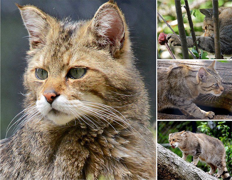 Fotografie Alfons Weber
