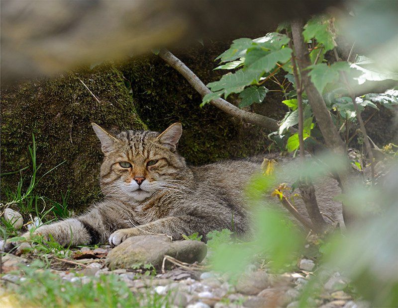 Fotografie Alfons Weber
