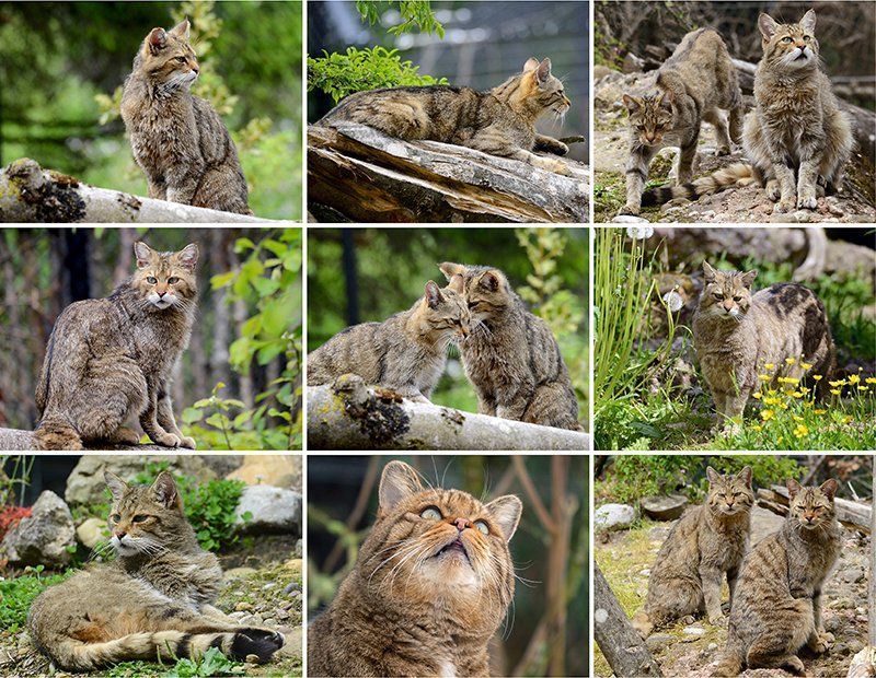 Fotografie Alfons Weber
