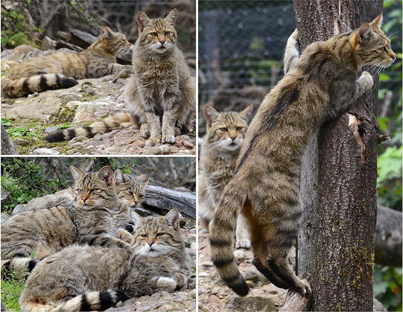 Fotografie Alfons Weber
