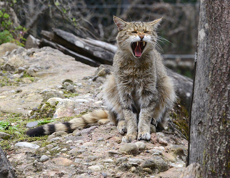 Fotografie Alfons Weber

